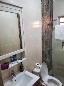 uma casa de banho com um WC, um lavatório e um chuveiro em Maison chaleureuse avec Jacuzzi ! em Punta Cana