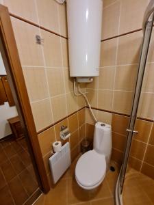 un bagno con un water e un distributore di carta igienica di Vesta Boutique Apartment a Bansko Altre 51 foto