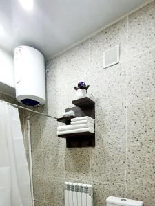 奥什Ocean hotel的带马桶和毛巾架的浴室