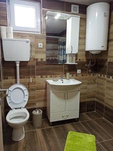 Koupelna v ubytování Vila Ljuti krš + 27 fotografií