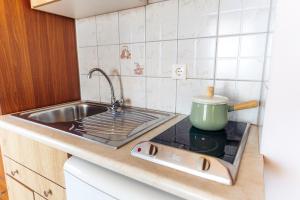 uma cozinha com um lavatório e um fogão com uma panela em Pothiti Studios em Donoussa