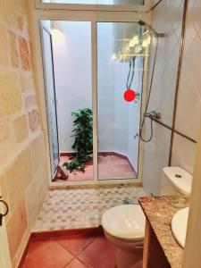 a bathroom with a shower and a toilet and a window at Casa Ses Roques in Ciutadella