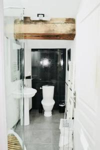 Baño blanco con aseo y lavamanos en Le Gite de la Galerie Forge en Alaigne