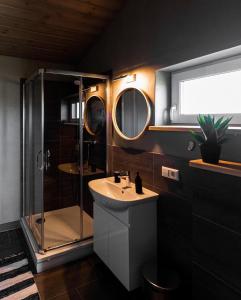 un baño con ducha y lavabo en Ganu Māja, en Užava 31 fotos más