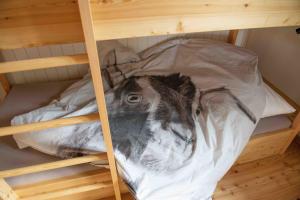 Ein Bett oder Betten in einem Zimmer der Unterkunft Hotel Tödiblick