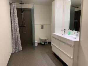 een badkamer met een wastafel, een douche en een toilet bij Spacious Apartment on N.P.Gøta 8a, Klaksvik in Klaksvík