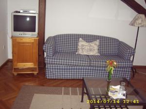 a living room with a couch and a tv at Casa cu Cerb in Sighişoara