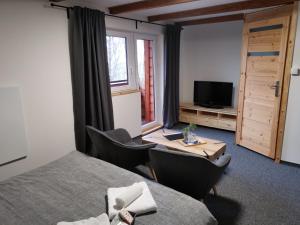 TV a/nebo společenská místnost v ubytování Wellness Hotel Koliba