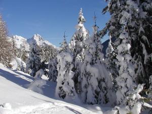 Zdjęcie z galerii obiektu Appartements Bergheim w mieście Pettneu am Arlberg