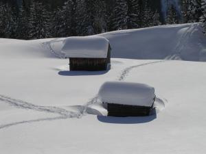 Zdjęcie z galerii obiektu Appartements Bergheim w mieście Pettneu am Arlberg