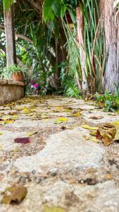 Um jardim no exterior de Adva High Above All