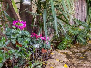 Um jardim no exterior de Adva High Above All