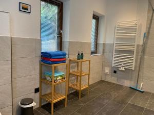 Vannituba majutusasutuses Appartement Birkheim