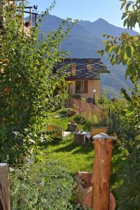 Příroda nedaleko bed and breakfast