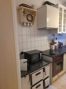 Kuchnia lub aneks kuchenny w obiekcie Zlatá léta - apartmánový dům Jáchymov
