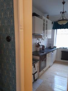 Kuchnia lub aneks kuchenny w obiekcie Zlatá léta - apartmánový dům Jáchymov