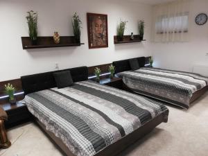 Posteľ alebo postele v izbe v ubytovaní Budapest Wigwam 140 m2