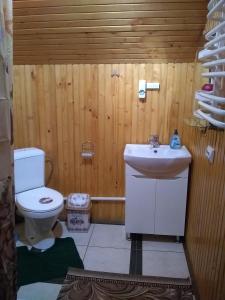 A bathroom at Котедж У Яни 2