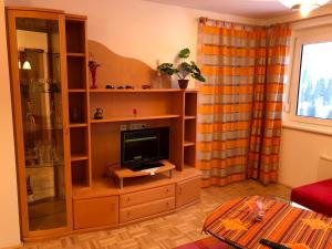 Μια τηλεόραση ή/και κέντρο ψυχαγωγίας στο Ferienwohnungen direkt an der Skipiste