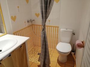 a bathroom with a shower with a toilet and a sink at maison de pécheur typique presqu’île Saint Jacut Sur Mer in Saint-Jacut-de-la-Mer
