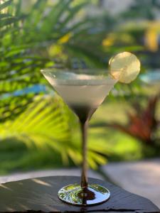 Bevande di PUNTA POPY Boutique HOTEL