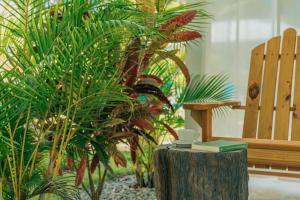 Giardino di PUNTA POPY Boutique HOTEL