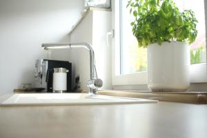 Η κουζίνα ή μικρή κουζίνα στο zuHause mit Berg-und BodenSeesicht +57 φωτογραφίες