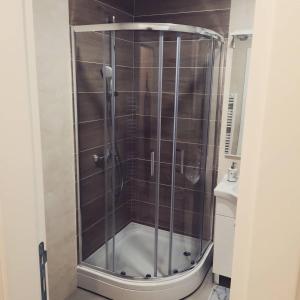 una ducha con puerta de cristal en un baño en Apartman Casa Lukavica Istočno Sarajevo, en Lukavica
