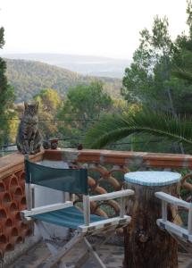 a cat sitting on a wall next to a chair at Mountain Finca with Pool in Puigpunyent