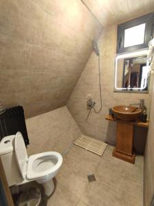 Ένα μπάνιο στο Alone Cottage Kazbegi