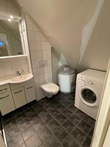 a bathroom with a toilet a sink and a washing machine at Presttind - Studio apartment with free parking in Narvik