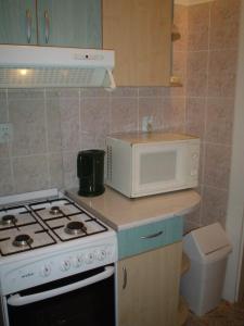 a kitchen with a stove and a microwave at Rolling Stone Hostel in Braşov