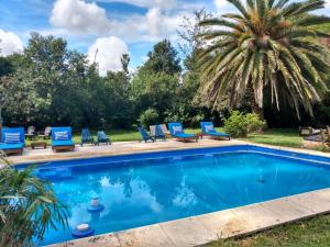 a swimming pool with chairs and a palm tree at La Pausa Lodge de Campo in Duggan