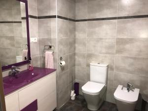 a bathroom with a purple sink and a toilet at Lacasadeyolandayedu in Medina del Campo