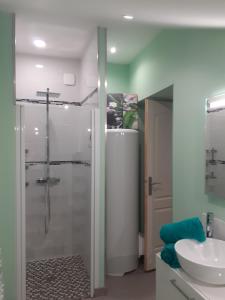 ein Bad mit einer Dusche und einem Waschbecken in der Unterkunft Le paradis d'Alice in Le Molay-Littry
