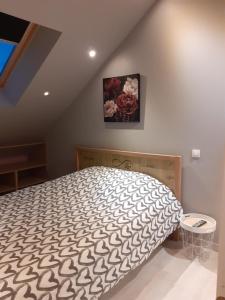 ein Schlafzimmer mit einem großen Bett im Dachgeschoss in der Unterkunft Le paradis d'Alice in Le Molay-Littry