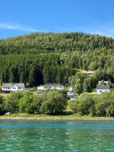 a village on the shore of a river with houses at Lyngen, Mackay appartment, Lyngen in Lyngseidet