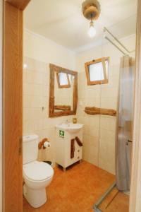 W łazience znajduje się toaleta, umywalka i prysznic. w obiekcie Casa do Vinho 5 "Vila Maria Quinta" w mieście Calheta