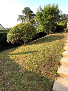 a grassy yard with a sidewalk and some bushes at Les pierres de Lecq in Portbail