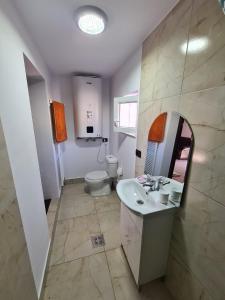 bagno con lavandino, servizi igienici e specchio di Cabana din Munți a Borsa