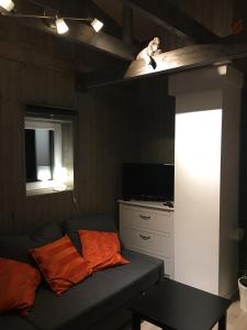 a living room with a couch and a television at Voss- Oppheim suite private cozy cabin in Vossestrand
