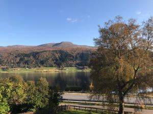 Foto da galeria de Oppheim-Myrkdalen privat hytte em Vossestrand