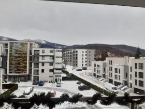 Apartamenty pod Dębowcem Apartament 44 Rowerek v zime