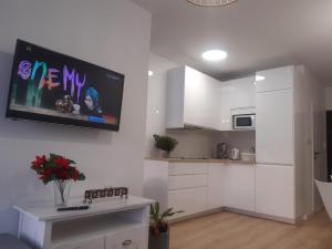 Kuchyňa alebo kuchynka v ubytovaní Apartamenty pod Dębowcem Apartament 44 Rowerek