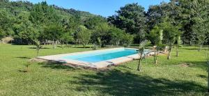 uma piscina no meio de um campo com árvores em Cabañas del Paraiso em El Soberbio