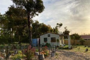 a small white shed with a tree in a yard at Winganah Cottage in Murdunna