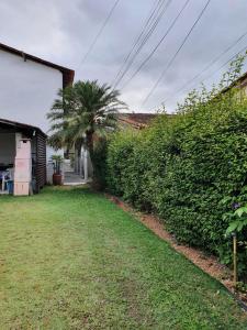 un patio con una palmera al lado de una casa en Chalé da Ana - Ilhabela, en Ilhabela