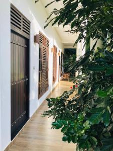 a hallway of a house with a door and a tree at Banana Resort And Restaurant in Tissamaharama