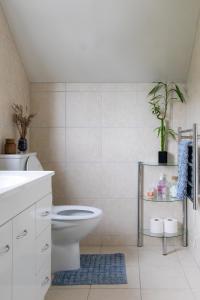 a bathroom with a toilet and a sink at The Loft at Sixty-7 in Queenstown