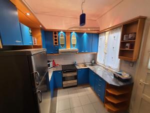 a blue kitchen with a sink and a refrigerator at CityHome2 in Larisa